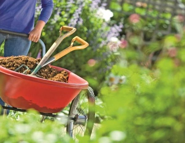 نکات مهم در باغبانی