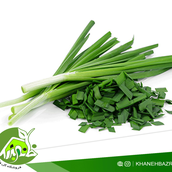 راهنمای کاشت تره