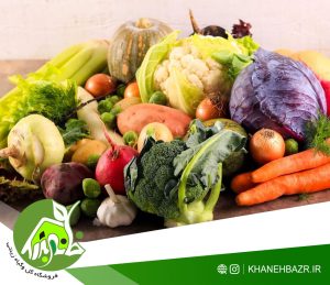 پک محصولات زمستانه خانه بذر