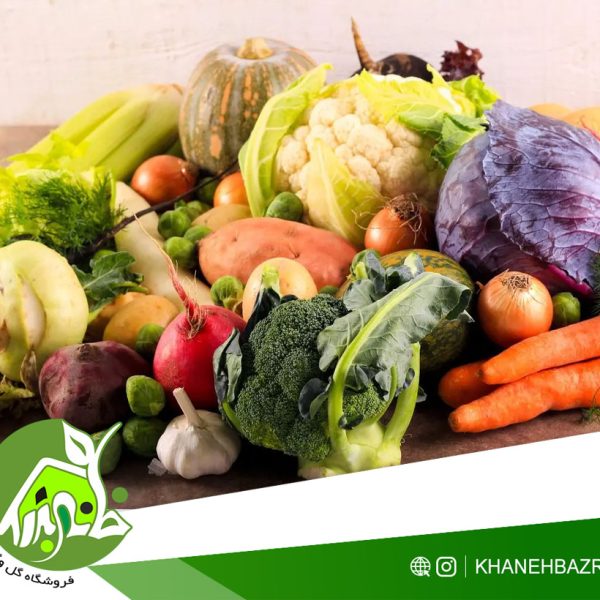 پک محصولات زمستانه خانه بذر