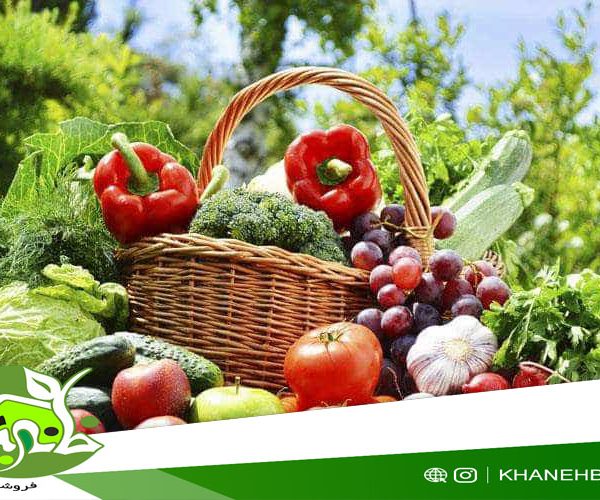 پکیج بذر کاشت بهاره ویژه مناطق گرمسیر